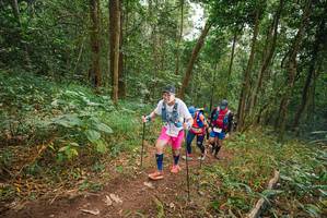 BIB: 
                            <button type="button" onclick="openModal(22482240)" class="btn btn-primary btn-sm float-right btn-popup" data-toggle="modal" data-target=".modal-high-quality">
                        <i class="fas fa-shopping-cart"></i> Add to Cart
                    </button>
                                            <button type="button" onclick="isThisMe(22482240, true)" class="btn btn-success btn-sm float-right btn-popup btn-isme hidden" data-toggle="tooltip" data-placement="bottom" title="นี่คือรูปของคุณใช่ไหม คลิกที่นี่เพื่อเอาเข้าอัลบั้ม">
                        <i class="fas fa-plus"></i> Add to album
                    </button>
                    <button type="button" onclick="isThisMe(22482240, false)" class="btn btn-warning btn-sm float-right btn-popup btn-isnotme hidden">
                        <i class="fas fa-ban"></i> Remove from album
                    </button>